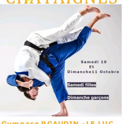 31 EME TOURNOI DE JUDO DES CHATAIGNES  LABEL A
